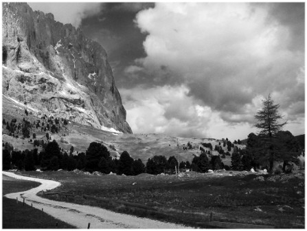 Foto van landschap